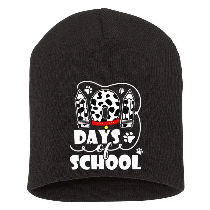 101 days of school dalmatian dog 100 days smarter teachers Short Acrylic Beanie