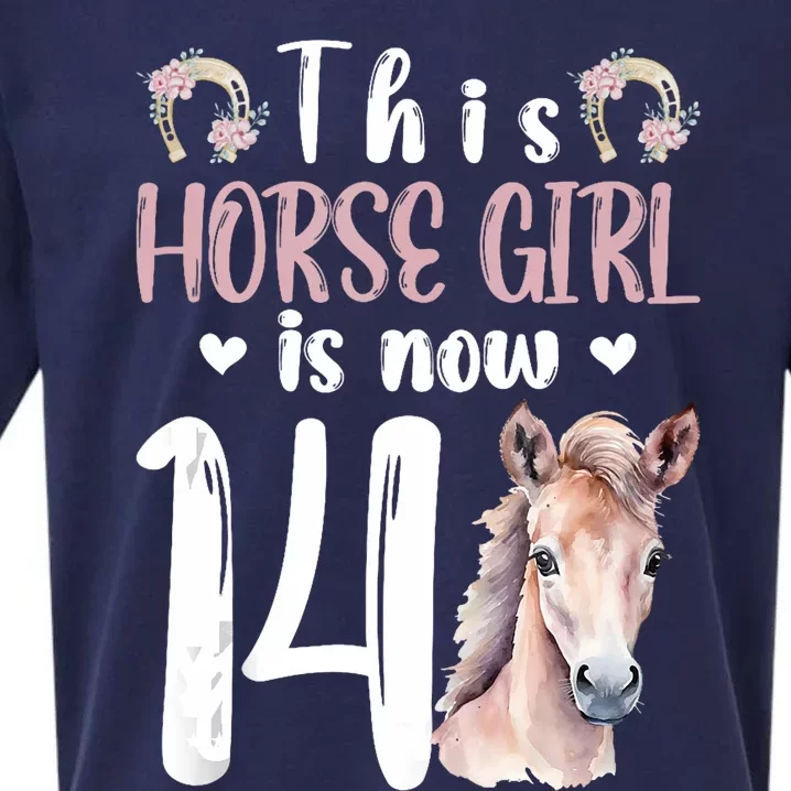 14th Horse Birthday Party 14 Year Old Girl Horses Birthday Sueded Cloud Jersey T-Shirt