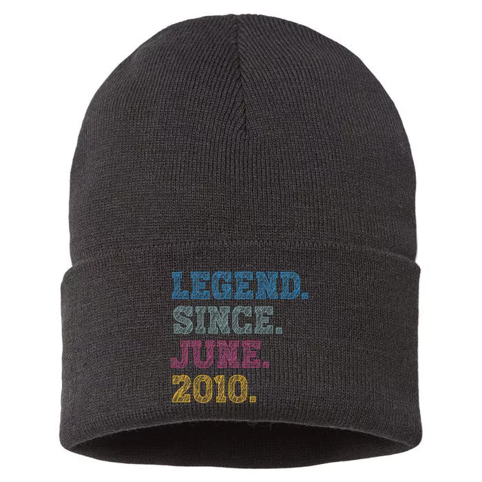 13YearOld Legend Since June 2010 13th Birthday Sustainable Knit Beanie