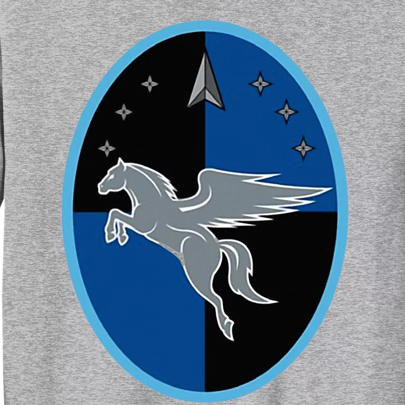 1st Operations Squadron Space Force Tall Sweatshirt