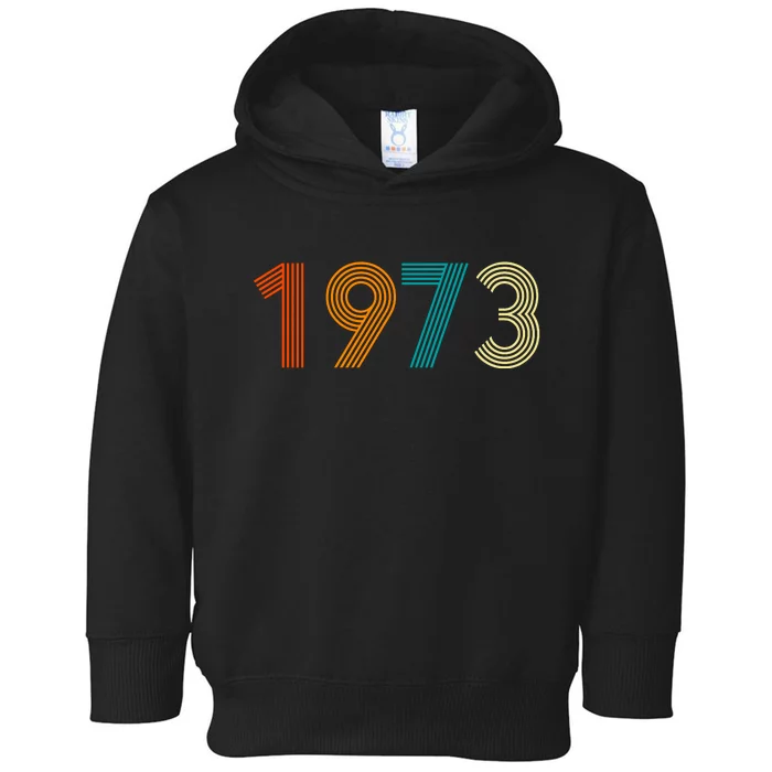 1973 Roe V Wade Toddler Hoodie