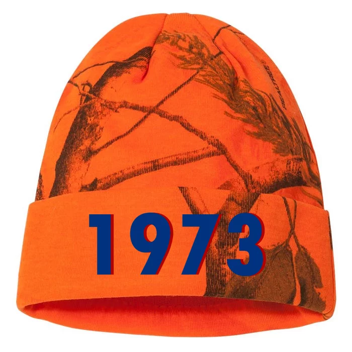 1973 Support Roe V Wade Pro Choice Pro Roe Women's Rights Kati - 12in Camo Beanie