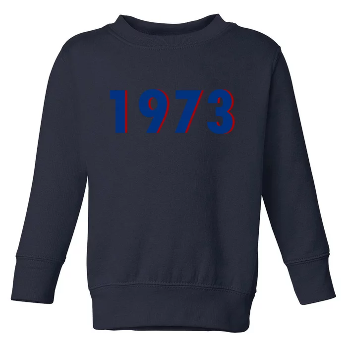 1973 Support Roe V Wade Pro Choice Pro Roe Women's Rights Toddler Sweatshirt