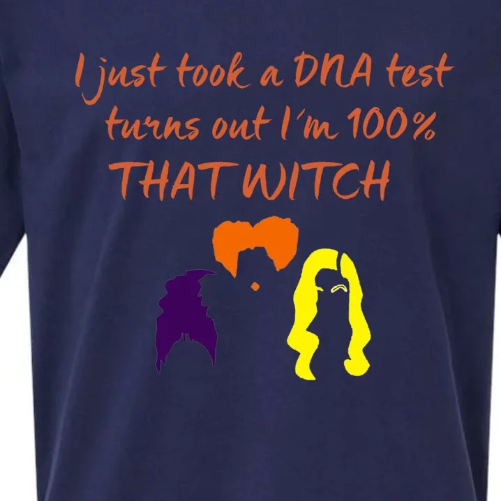 100% That Witch Three Witches Design Halloween Theme Dna Gift Sueded Cloud Jersey T-Shirt