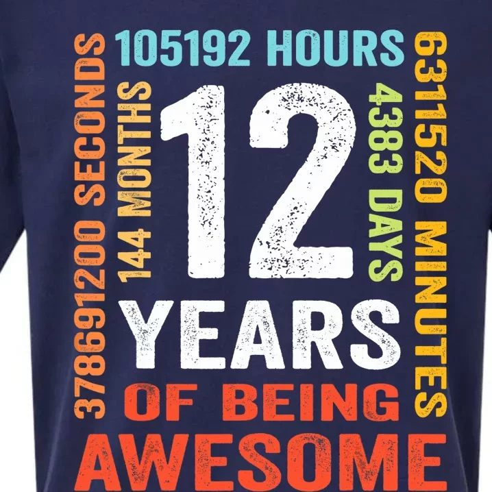 12 Years 144 Months Of Being Awesome 12th Birthday Gifts Sueded Cloud Jersey T-Shirt