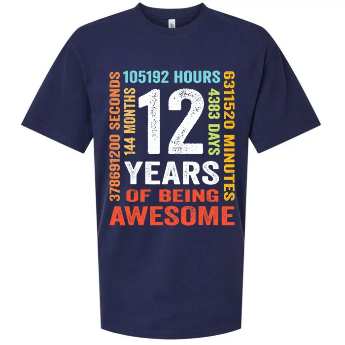 12 Years 144 Months Of Being Awesome 12th Birthday Gifts Sueded Cloud Jersey T-Shirt