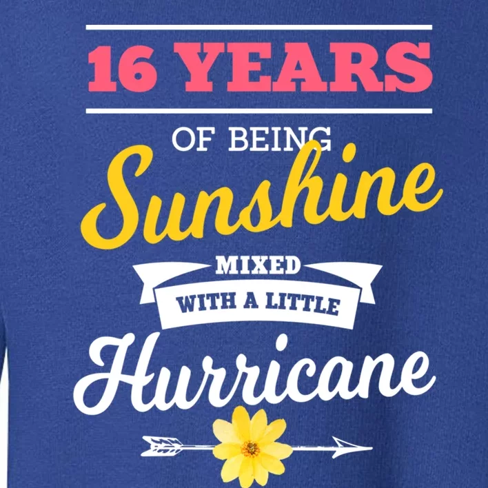 16 Years Of Sunshine Mixed With A Little Hurricane Sassy Gift Toddler Sweatshirt