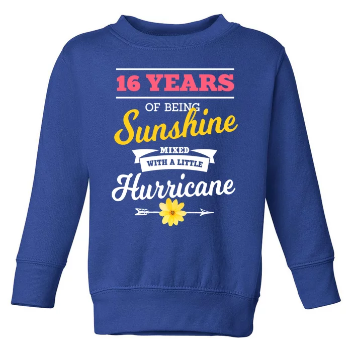 16 Years Of Sunshine Mixed With A Little Hurricane Sassy Gift Toddler Sweatshirt