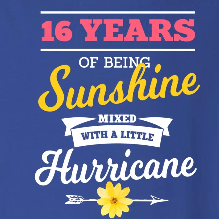 16 Years Of Sunshine Mixed With A Little Hurricane Sassy Gift Toddler Long Sleeve Shirt