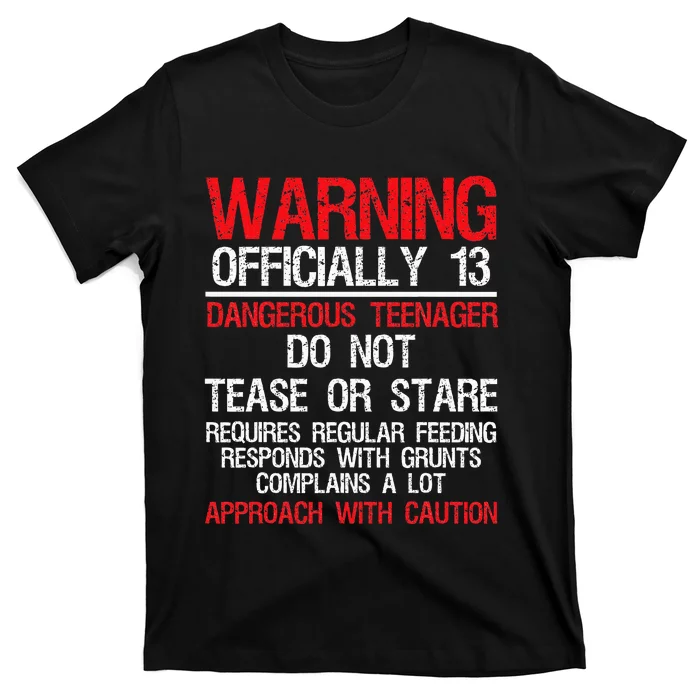 13 Years Old Warning Dangerous Teenager 13th Birthday T-Shirt