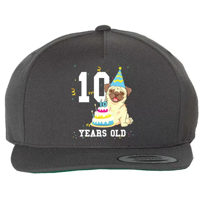 10 Years Old Birthday Pug Dog Lover Party Kids Boy Girl Wool Snapback Cap