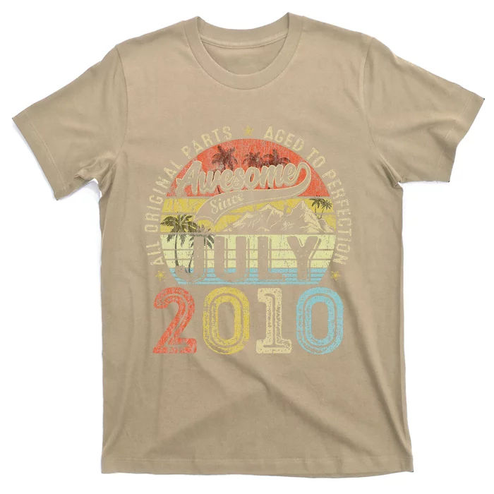 13 Year Old Vintage July 2010 Born In 2010 13th Birthday T-Shirt