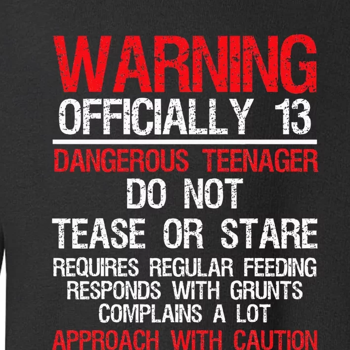 13 Years Old Warning Dangerous Teenager 13th Birthday Toddler Sweatshirt