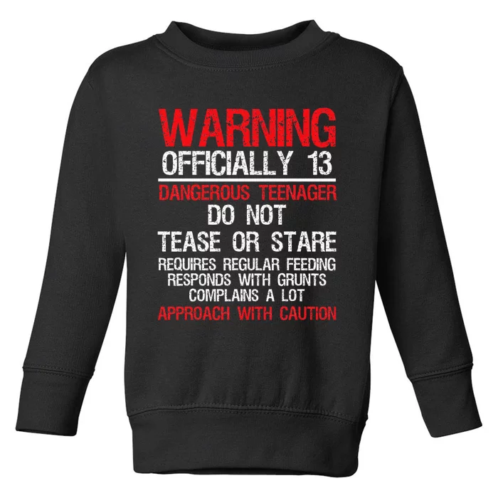 13 Years Old Warning Dangerous Teenager 13th Birthday Toddler Sweatshirt