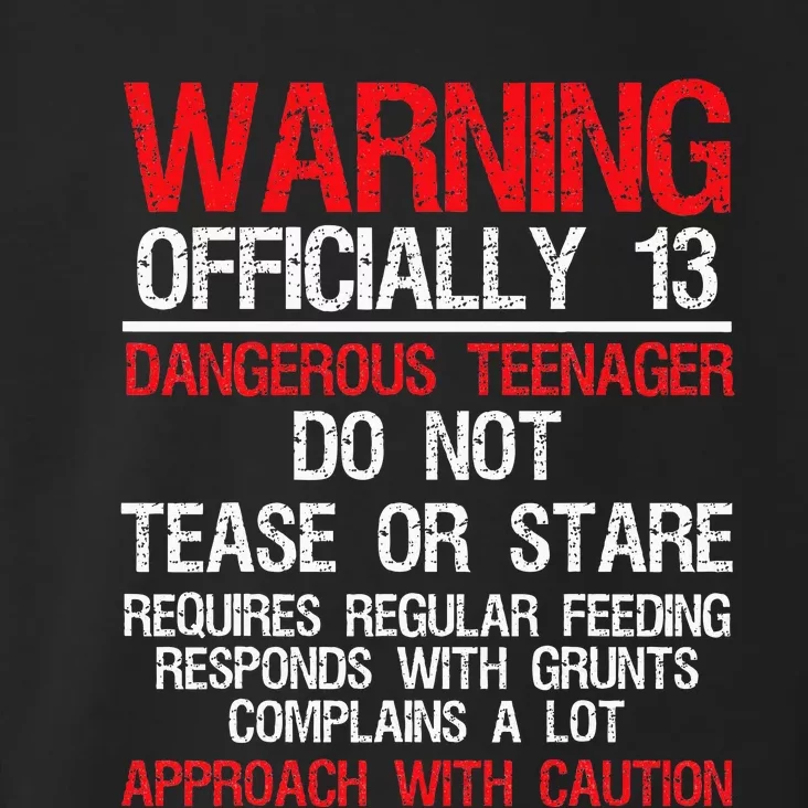 13 Years Old Warning Dangerous Teenager 13th Birthday Toddler Hoodie