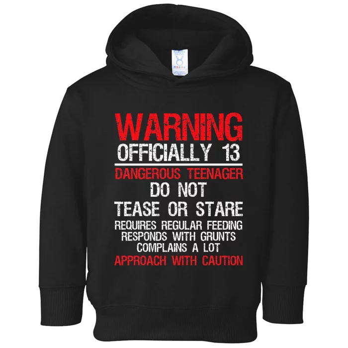 13 Years Old Warning Dangerous Teenager 13th Birthday Toddler Hoodie