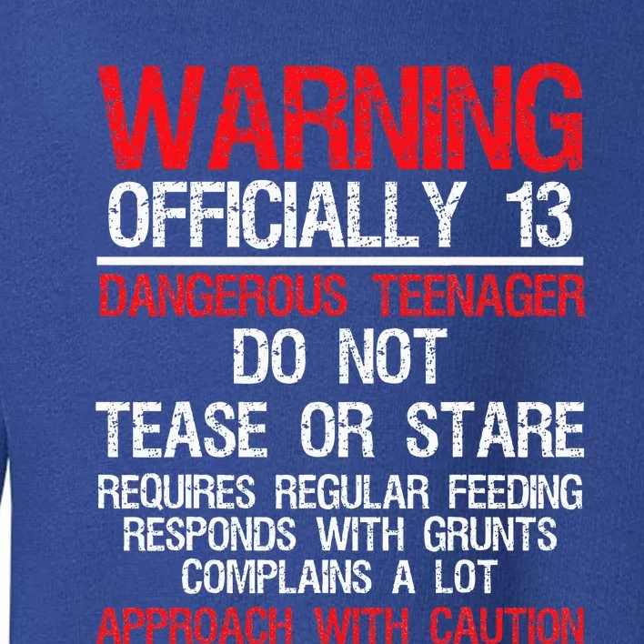 13 Years Old Warning Dangerous Teenager 13th Birthday Toddler Sweatshirt