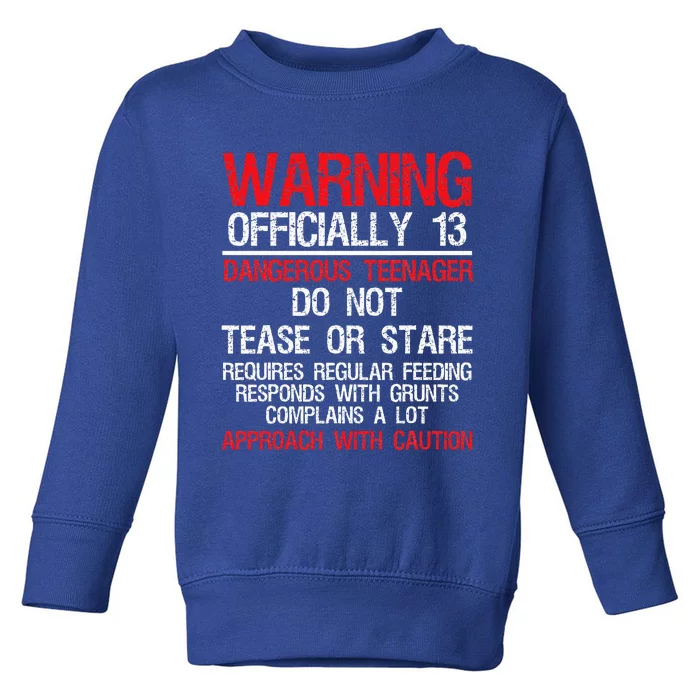 13 Years Old Warning Dangerous Teenager 13th Birthday Toddler Sweatshirt