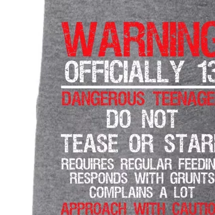 13 Years Old Warning Dangerous Teenager 13th Birthday Doggie 3-End Fleece Hoodie