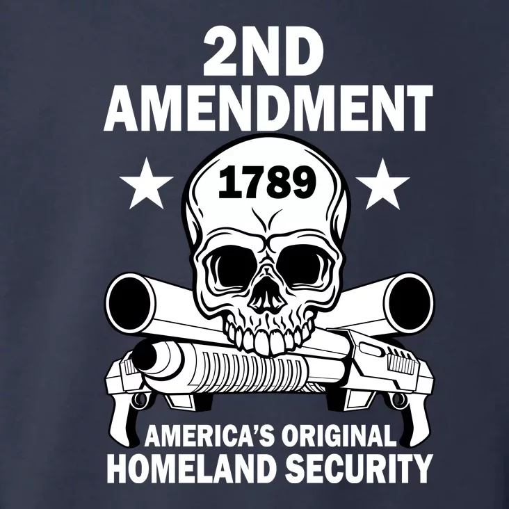 2nd Amendment 1789 Toddler Hoodie