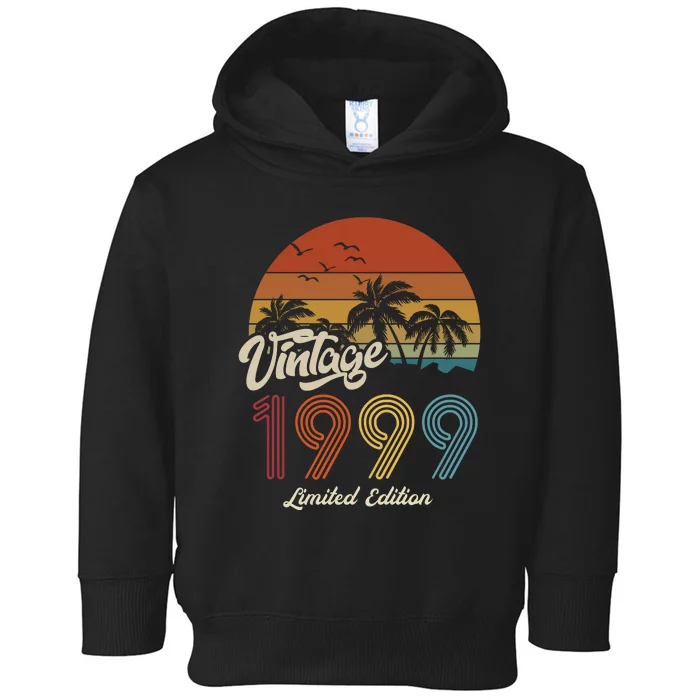 24th Birthday Vintage Limited Edition 1999 Toddler Hoodie