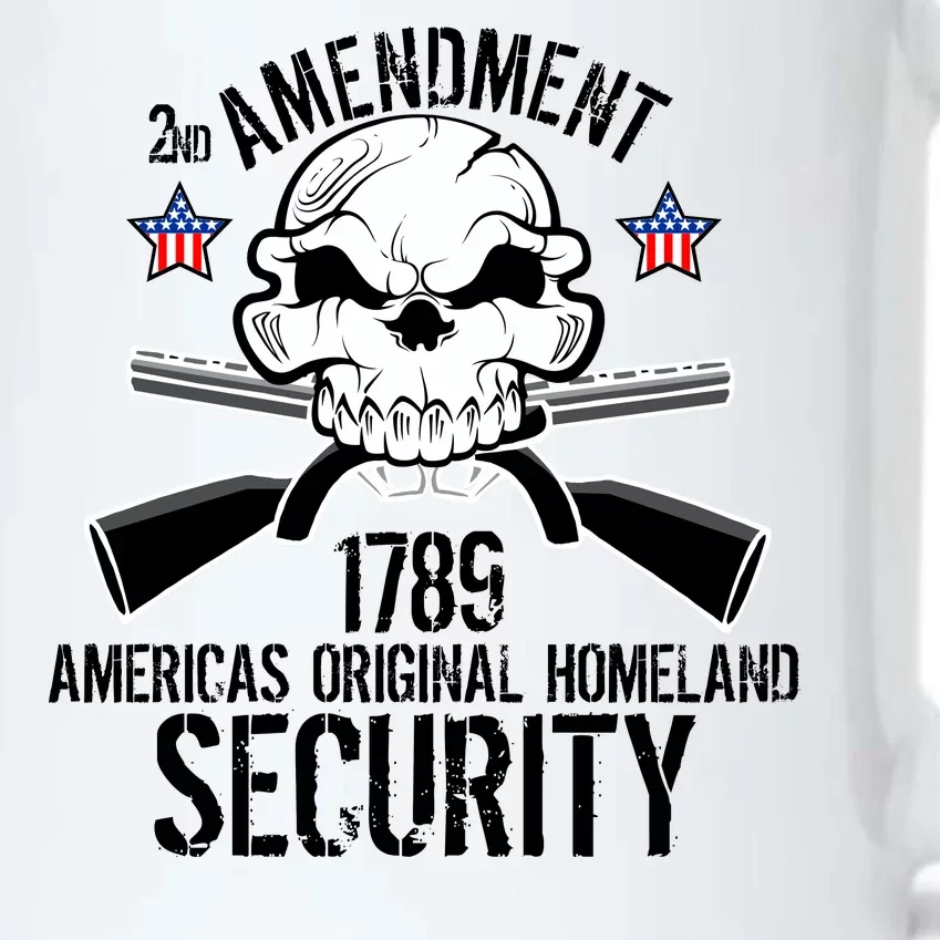 2nd Amendment 1789 Homeland Security Black Color Changing Mug