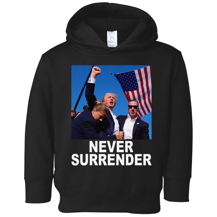 2024 Pennsylvania Rally Toddler Hoodie