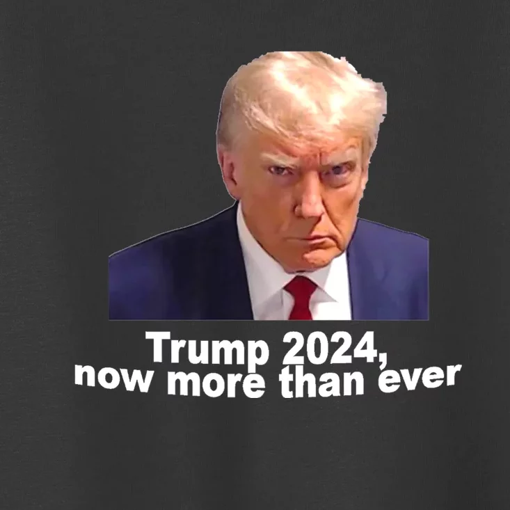 2024 Trump MUG SHOT NOW MORE THEN EVER Toddler T-Shirt