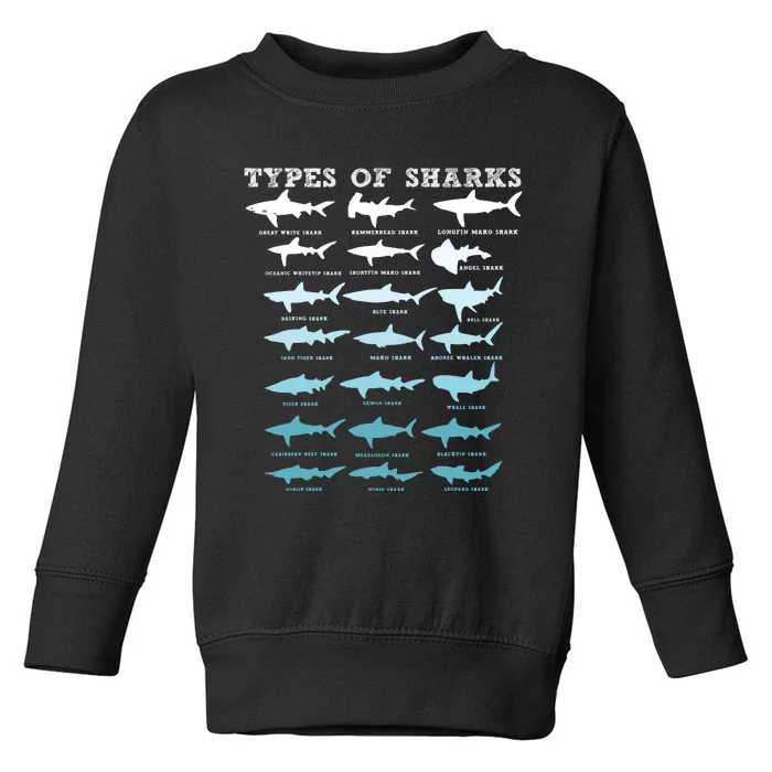 21 Types Of Sharks Marine Biology Toddler Sweatshirt