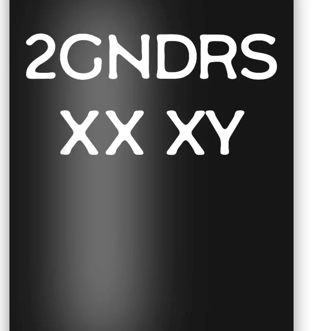 2GNDRS XX XY 2 Genders Poster