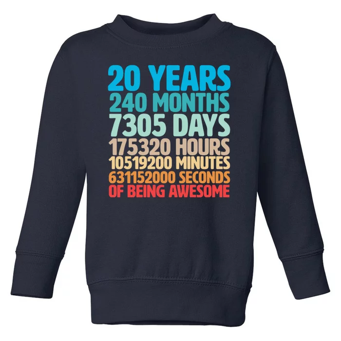 20 Years Of Being Awesome 20th Birthday Time Breakdown Toddler Sweatshirt