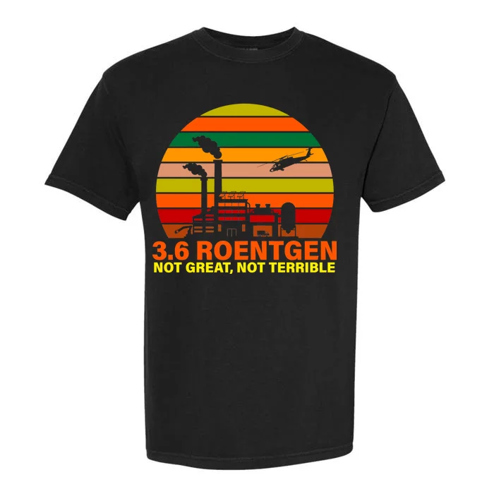 3.6 Roentgen Not Great, Not Terrible Garment-Dyed Heavyweight T-Shirt