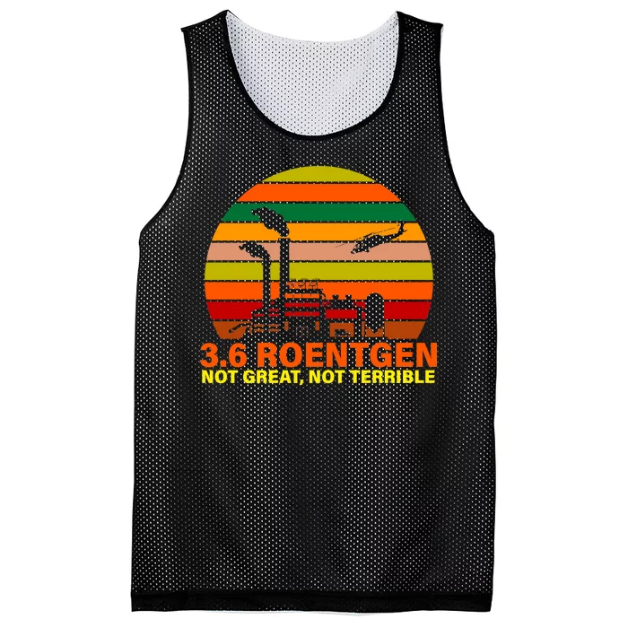 3.6 Roentgen Not Great, Not Terrible Mesh Reversible Basketball Jersey Tank