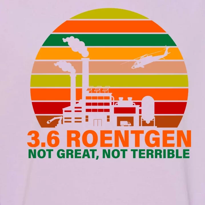 3.6 Roentgen Not Great, Not Terrible Garment-Dyed Sweatshirt