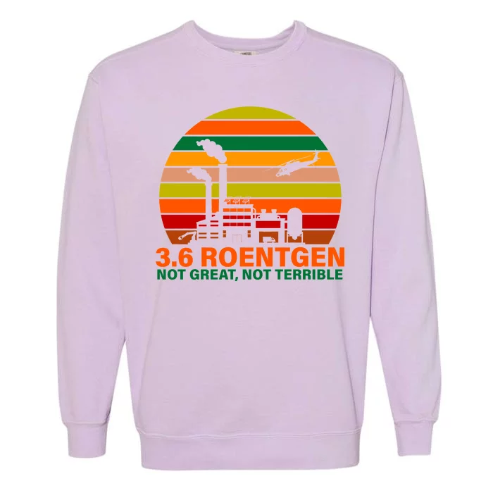 3.6 Roentgen Not Great, Not Terrible Garment-Dyed Sweatshirt