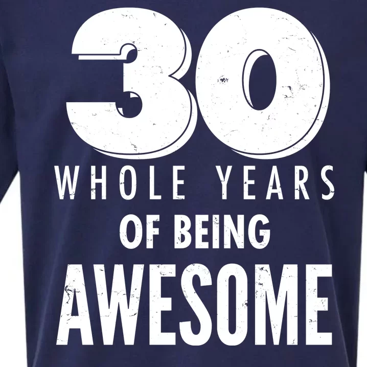 30 Whole Years Of Being Awesome Birthday Sueded Cloud Jersey T-Shirt