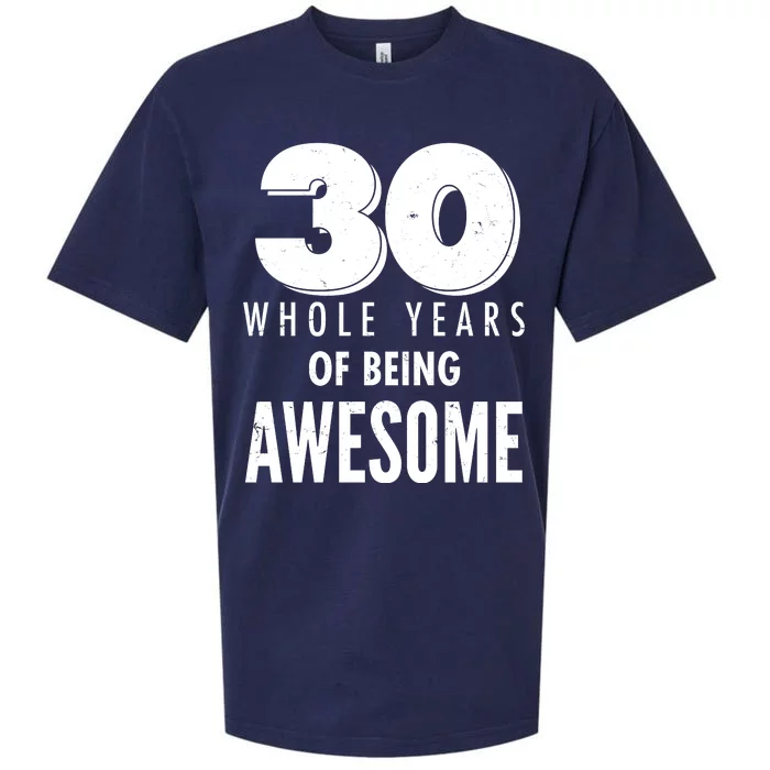 30 Whole Years Of Being Awesome Birthday Sueded Cloud Jersey T-Shirt