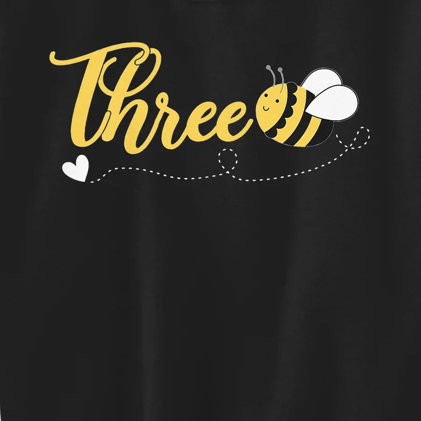 3rd Birthday Bee Themed 3 Year Old Bday Matching Party Kids Sweatshirt