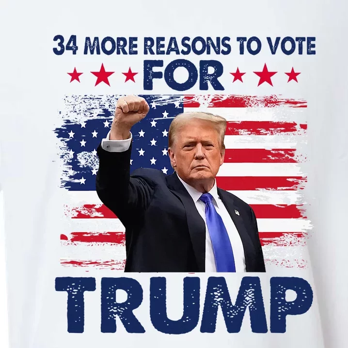 34 More Reasons To Vote For Trump Convicted Felon Trump 2024 Sueded Cloud Jersey T-Shirt