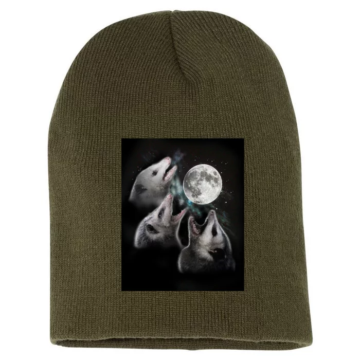 3 Opossum Moon Short Acrylic Beanie