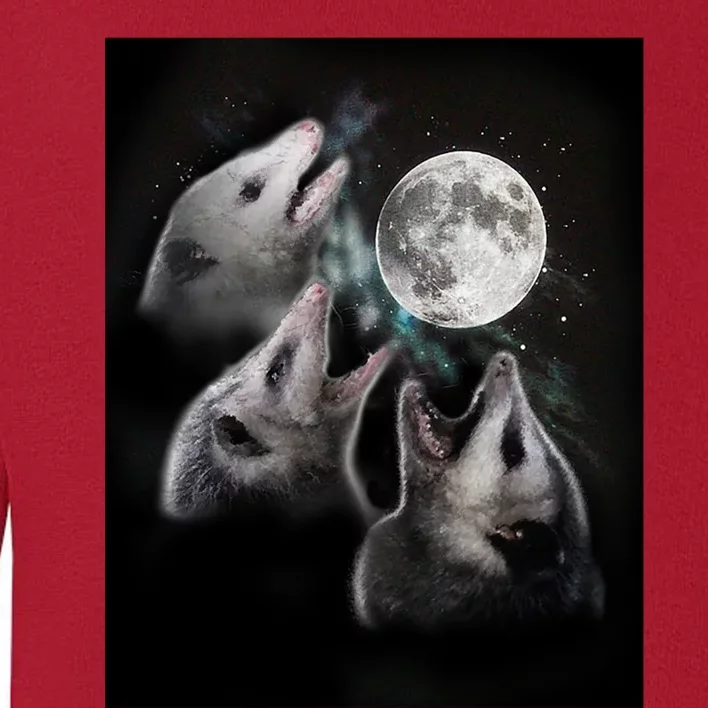 3 Opossum Moon Toddler Sweatshirt