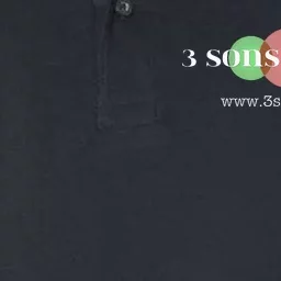 3 Sons Media with Website Softstyle Adult Sport Polo