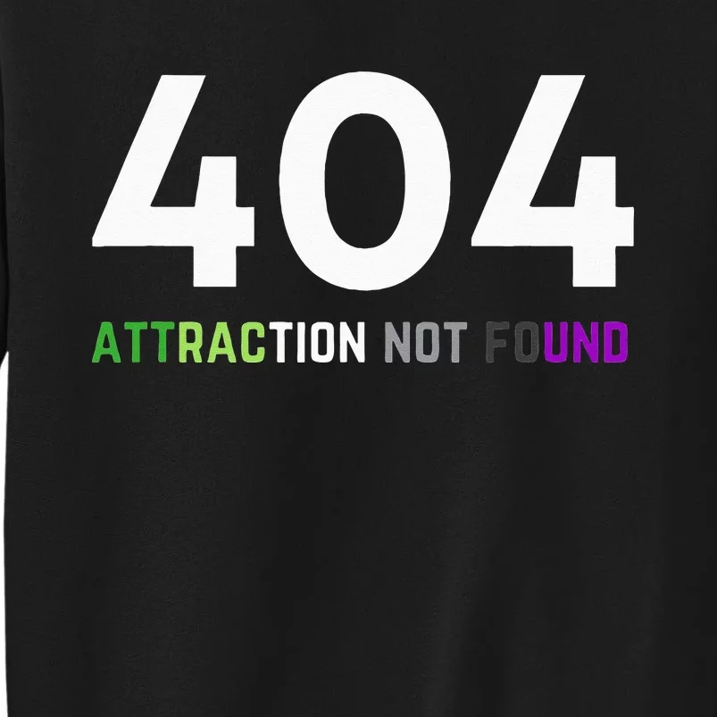 404 Attraction Not Found Funny Aroace Pride Aro Ace LGBTQ Sweatshirt