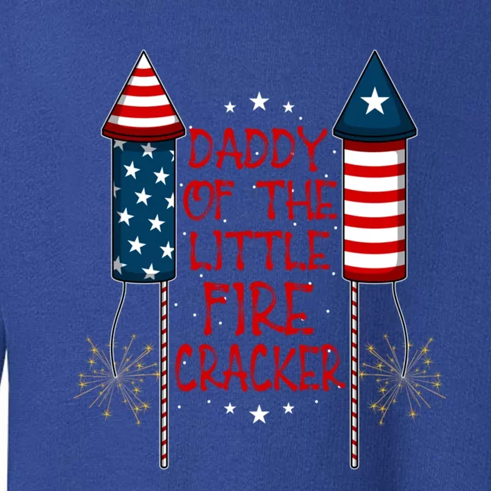 4th July Liberty Freedom Usa Flag Patriot National Holiday Gift Toddler Sweatshirt