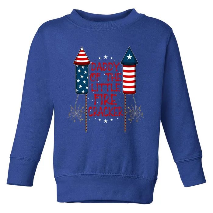 4th July Liberty Freedom Usa Flag Patriot National Holiday Gift Toddler Sweatshirt