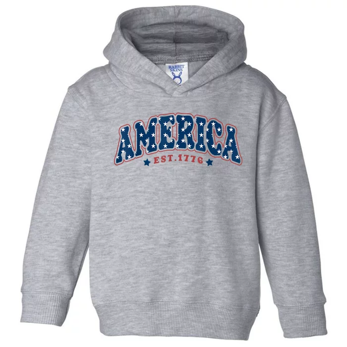 4th Of July America Est 1776 Toddler Hoodie