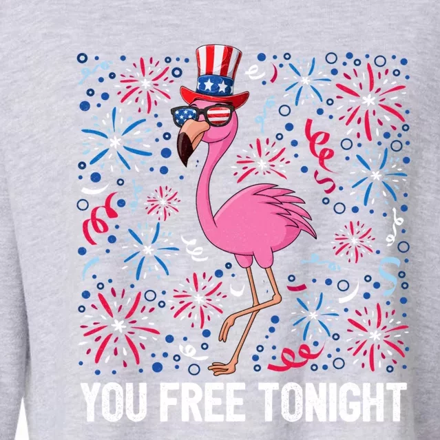 4th Of July You Free Tonight Flamingo Bird Usa Flag Freedom Cute Gift Cropped Pullover Crew