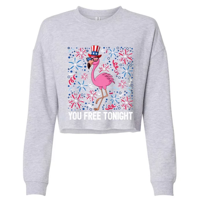 4th Of July You Free Tonight Flamingo Bird Usa Flag Freedom Cute Gift Cropped Pullover Crew