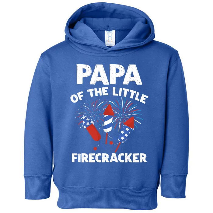 4th Of July Birthday Papa Of The Little Firecracker Funny Gift Toddler Hoodie