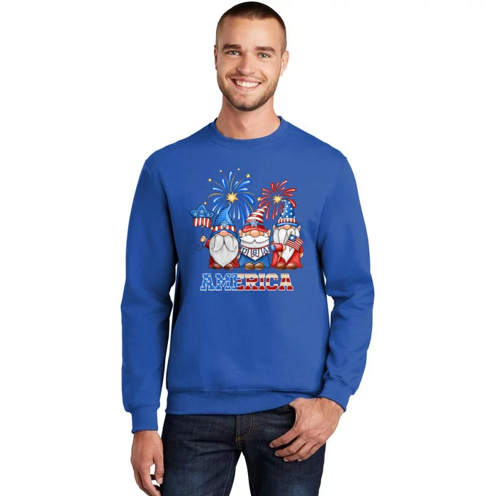 4th Of July American Gnomes Celebrating Independence Day Cute Gift Sweatshirt